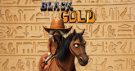 Black Gold